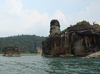 Bako National Park Flora & Fauna