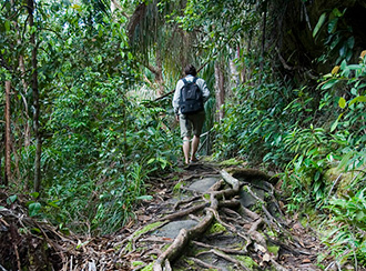 Treks and trails in Bako National Park