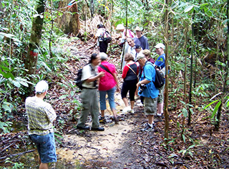 Treks and trails in Bako National Park