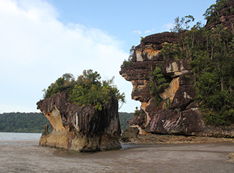 Treks and trails in Bako National Park