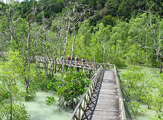 Treks and trails in Bako National Park