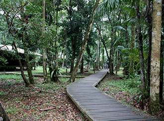 Treks and trails in Bako National Park