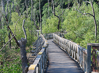 Treks and trails in Bako National Park