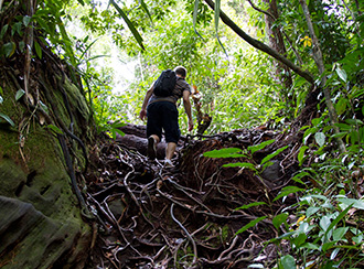 Treks and trails in Bako National Park