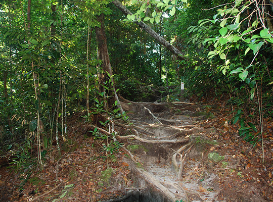 3D2N Bako National Park - Natural Trekking