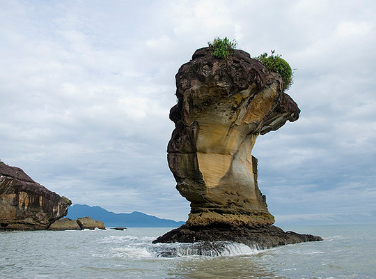 3D2N Bako National Park - Natural Trekking