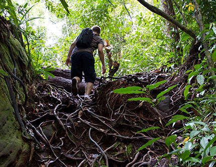 3D2N Bako National Park - Natural Trekking