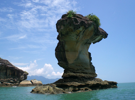 3D2N Kuching City + Bako National Park