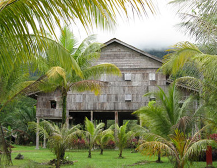 5D4N Kuching + Semenggoh Orang Utan + Traditional Iban Longhouse + Bako National Park