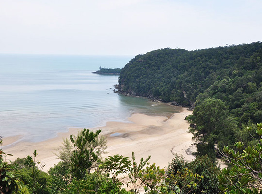 Bako National Park Day Tour