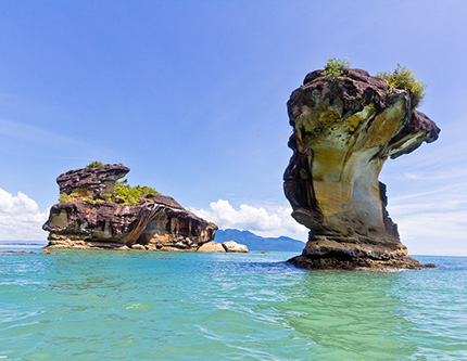 Bako National Park Day Tour